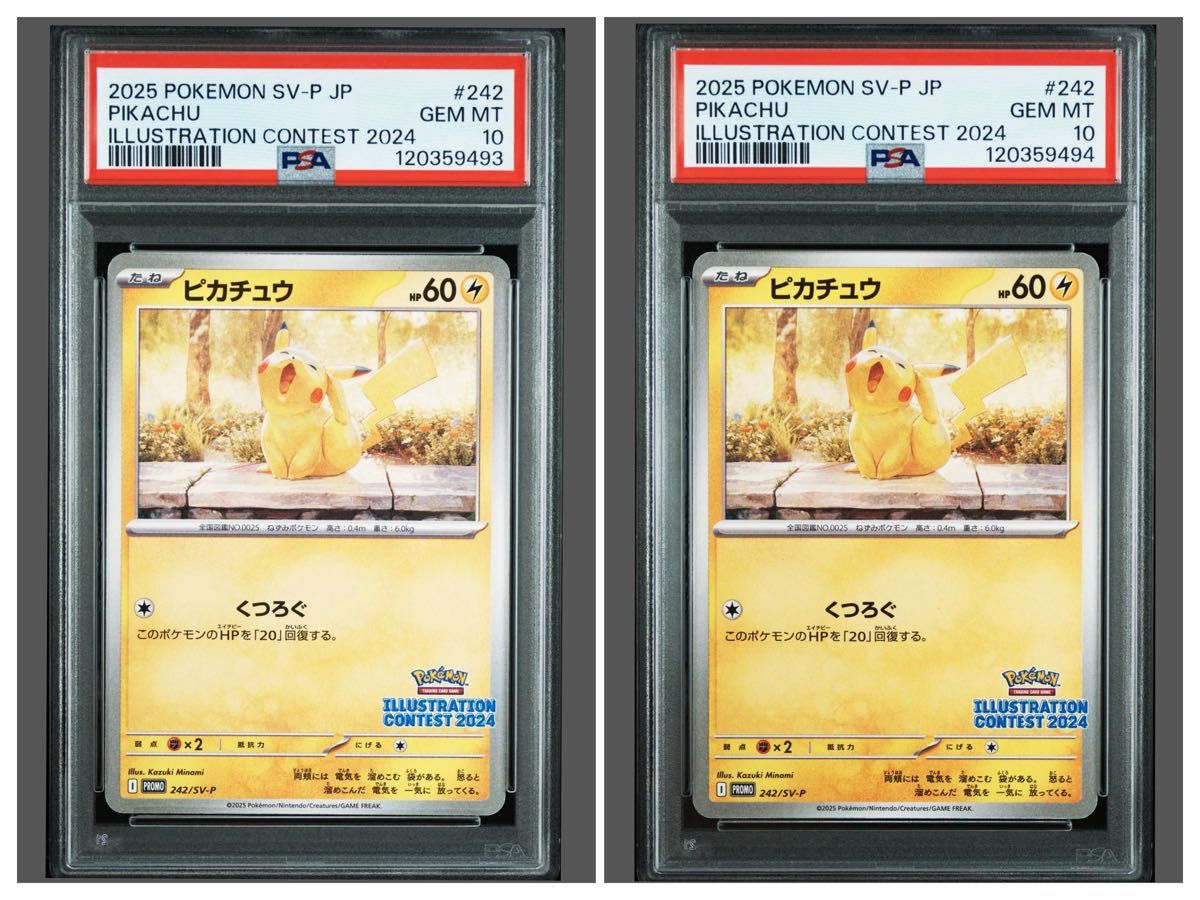 ポケモンカードゲームピカチュウ イラストコンテスト2024 プロモ（SV-P
