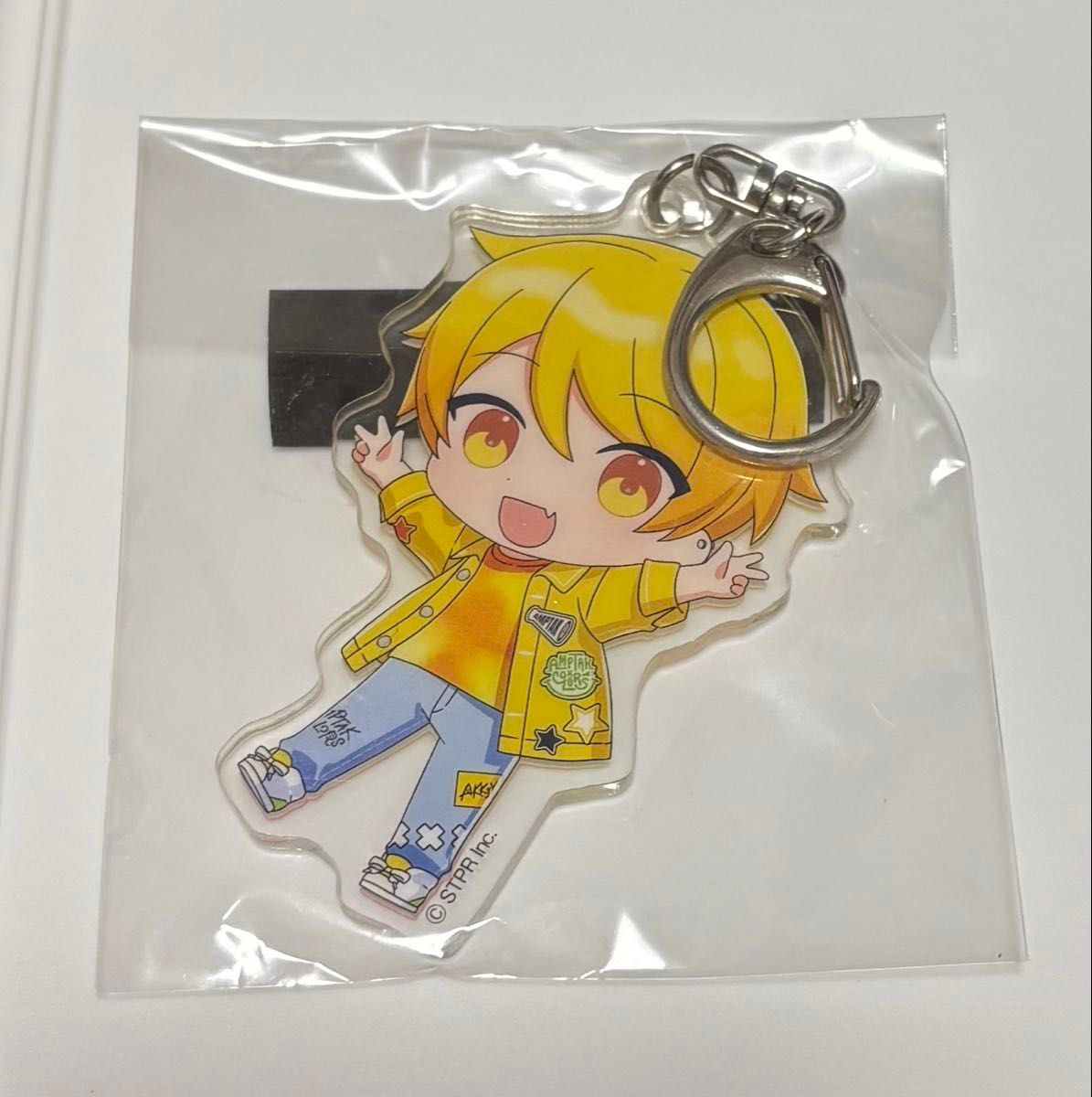 STPR Family Festival アクリルキーホルダー AMPTAK COLORS あっきぃ
