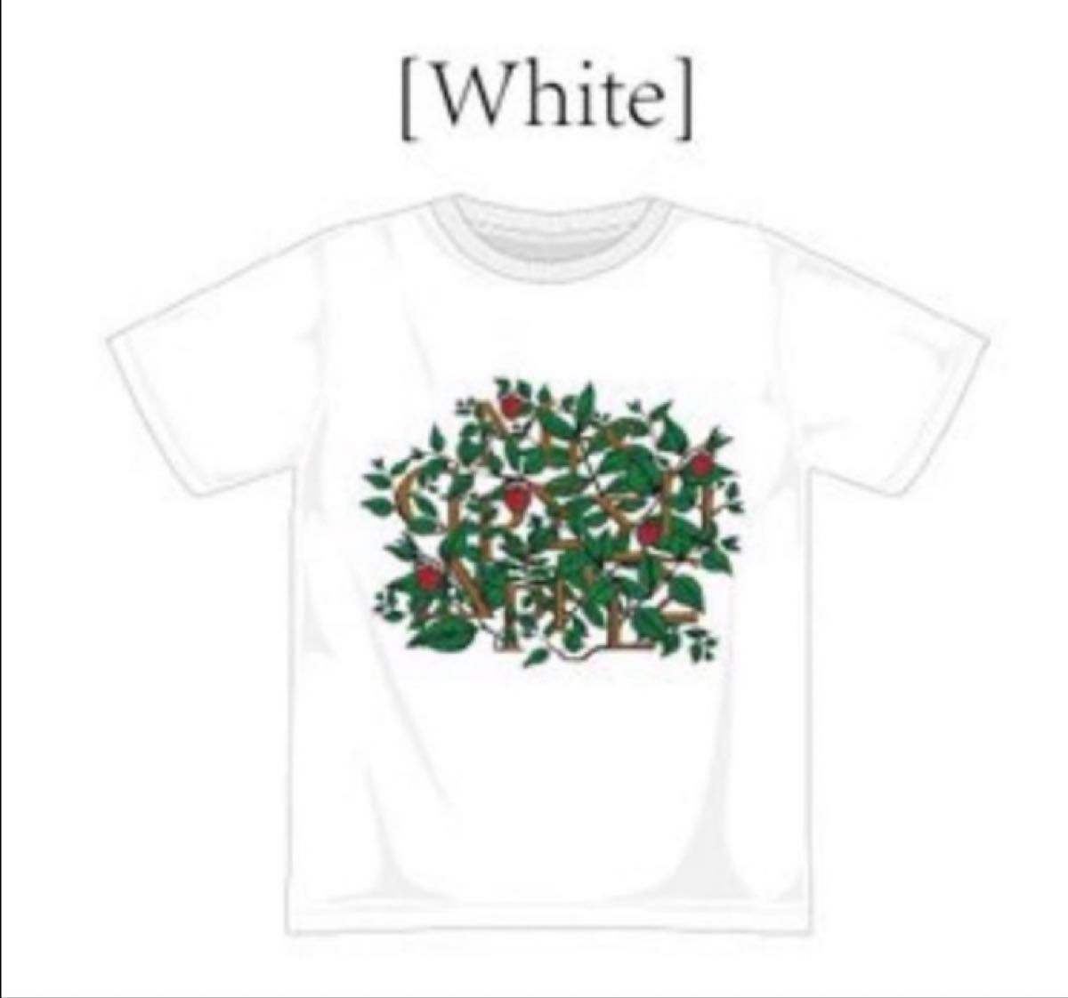 新品未開封】VOW WOW 2026年 ライブ Tシャツ Lサイズ｜Yahoo!フリマ