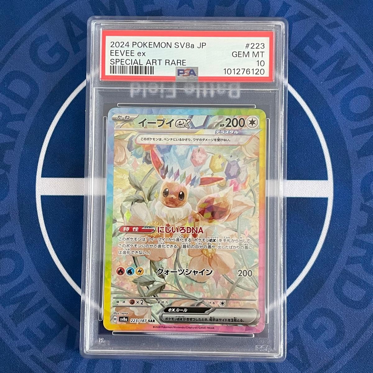 PSA10】イーブイex SAR 2種類セット【連番】ポケモンカード テラスタル