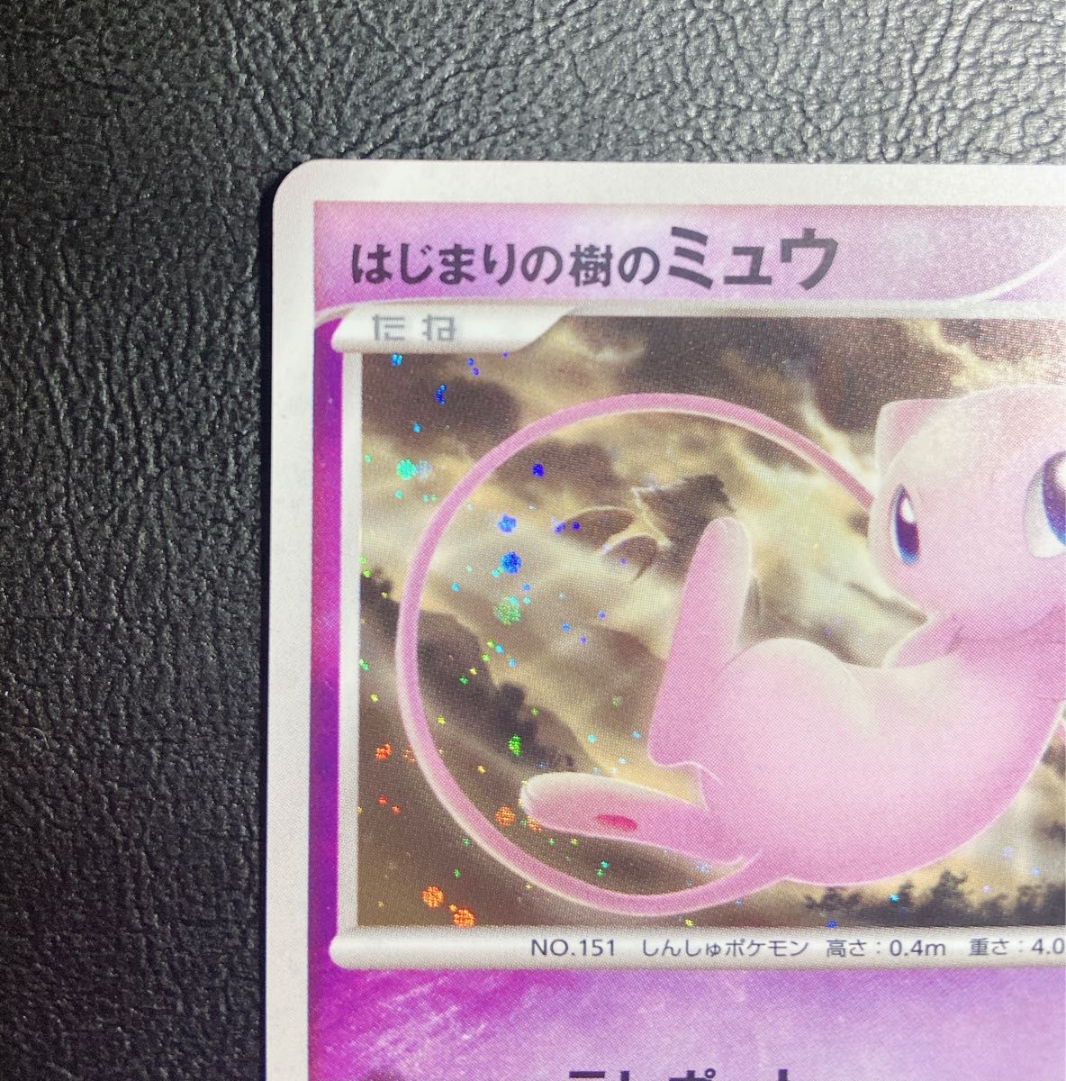 ポケモンカード はじまりの樹のミュウ 映画10周年記念 プロモ｜Yahoo
