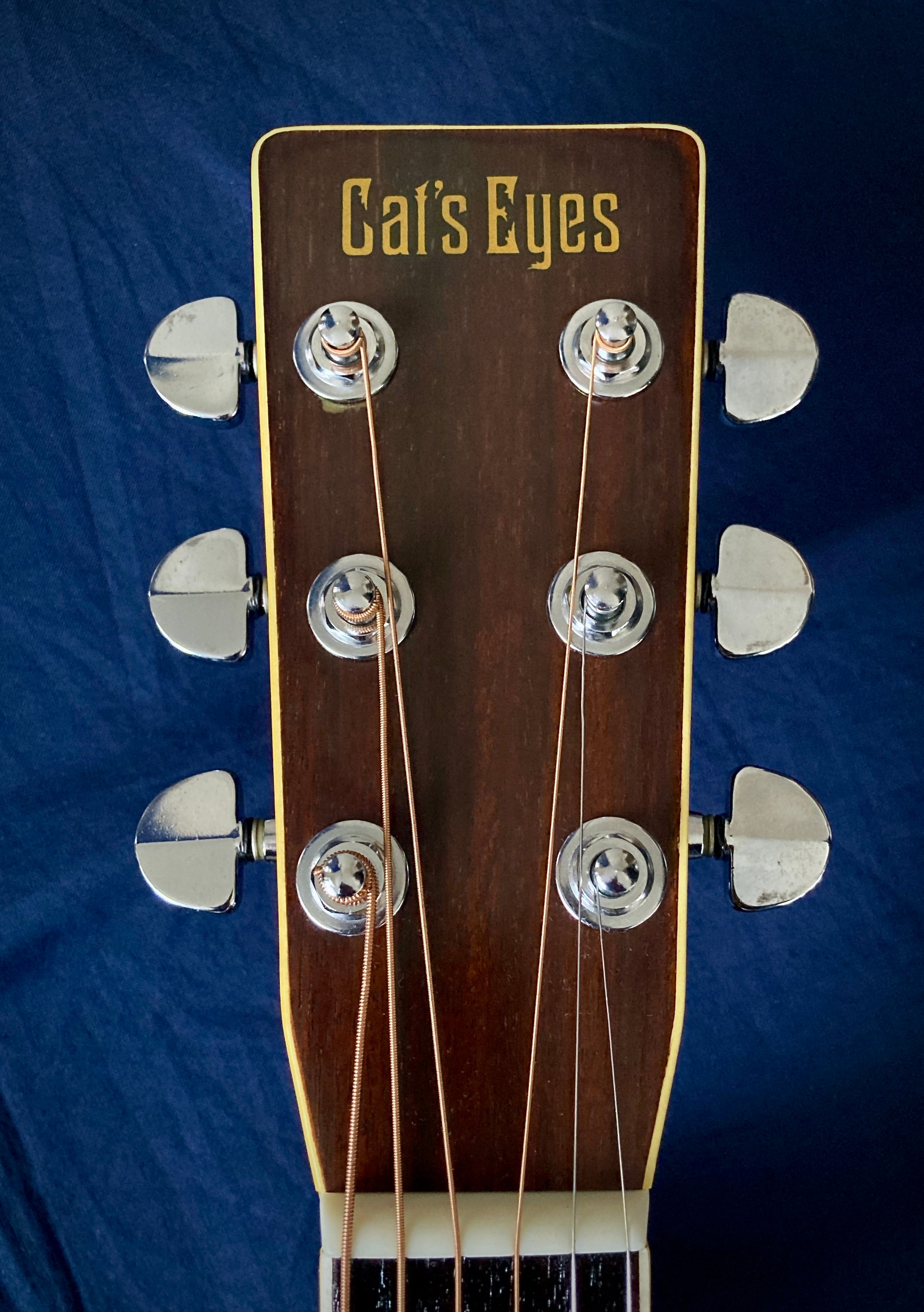 Tokai Cat's Eyes CE-400 1980 | 【ジャパンビンテージギター専門店