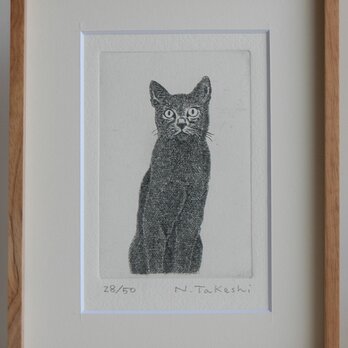 猫の銅版画の通販 | iichi 日々の暮らしを心地よくするハンドメイドや