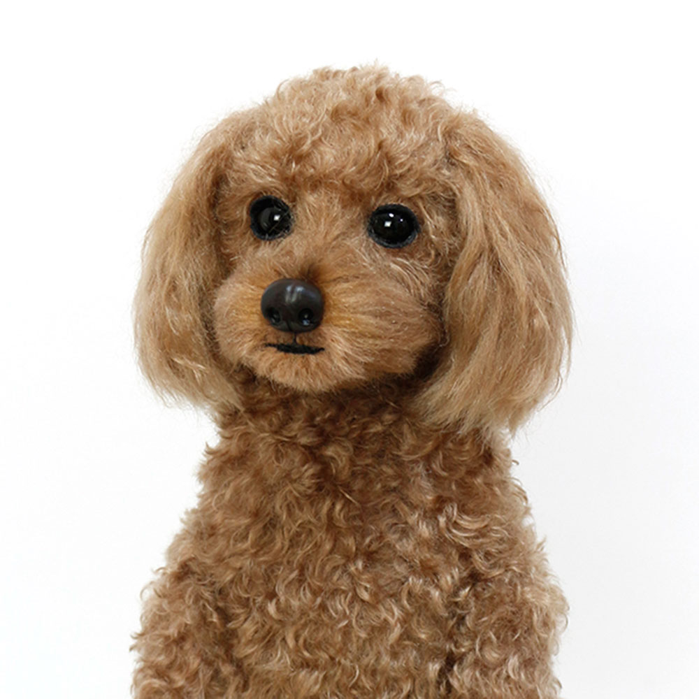 230119 もも トイプードル - 【公式】ぬいぐるみのオーダーメイド