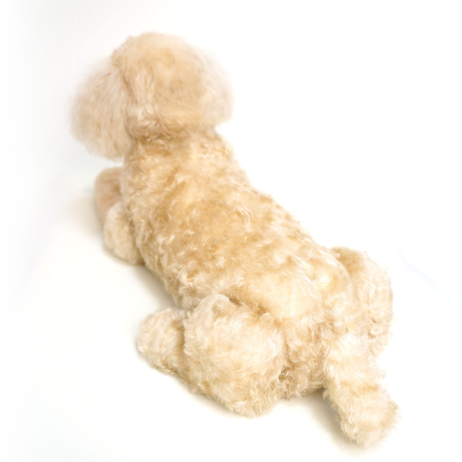 250616 ルイちゃん トイプードル - 【公式】ぬいぐるみのオーダー