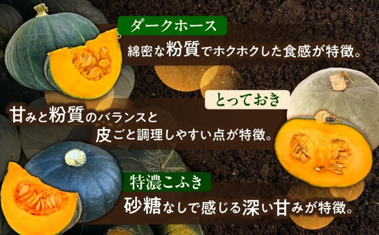 先行予約】北海道 かぼちゃ ダークホース・とっておき・特濃こふき 3