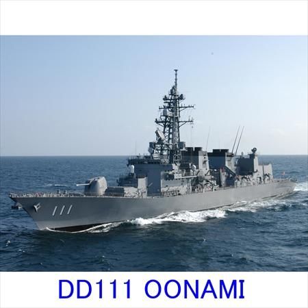 旭日旗 おおなみ戦闘服ショルダーパッチLow 40-60