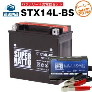 SUPER NATTO（スーパーナット） バイク用バッテリー ハーレー専用