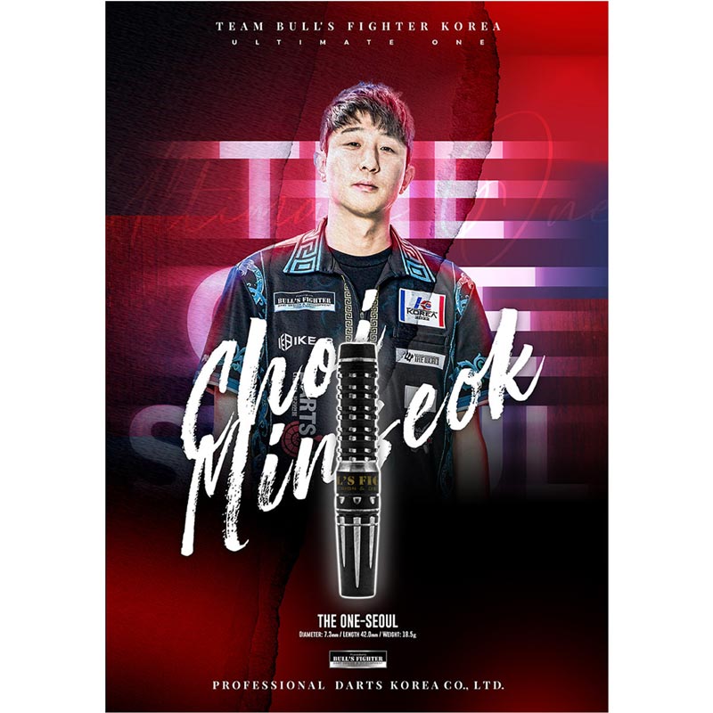 BULL'S FIGHTER チェミンソク選手モデル BULL'S FIGHTER チェミンソク選手モデル - メルカリ