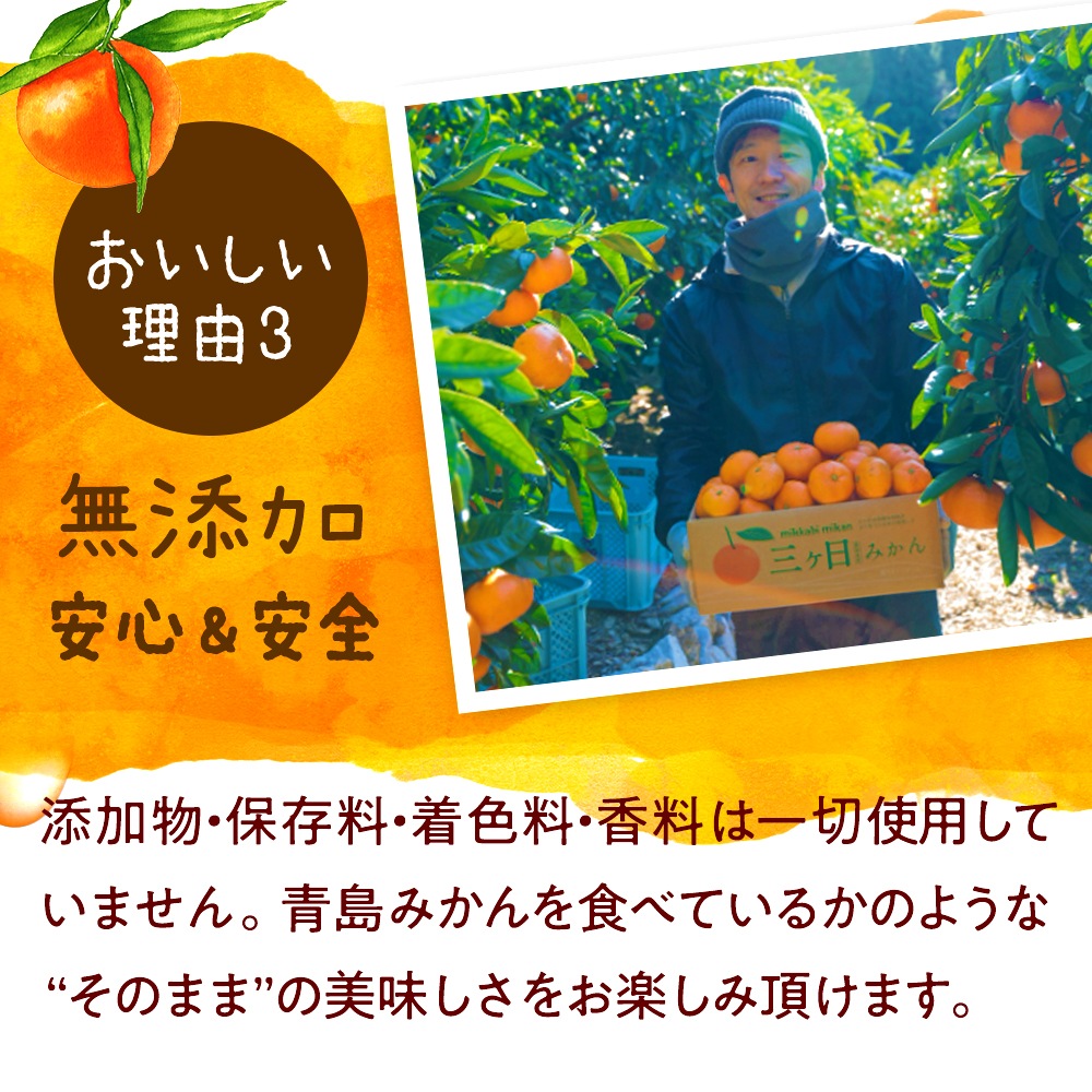 陽だまりみかんジュース ストレート720ml 1本 果汁100％ 無添加