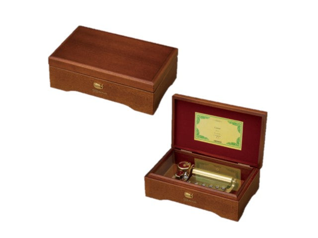 真夏の果実 桑田佳祐 サザンオールスターズ【MM521G+G30