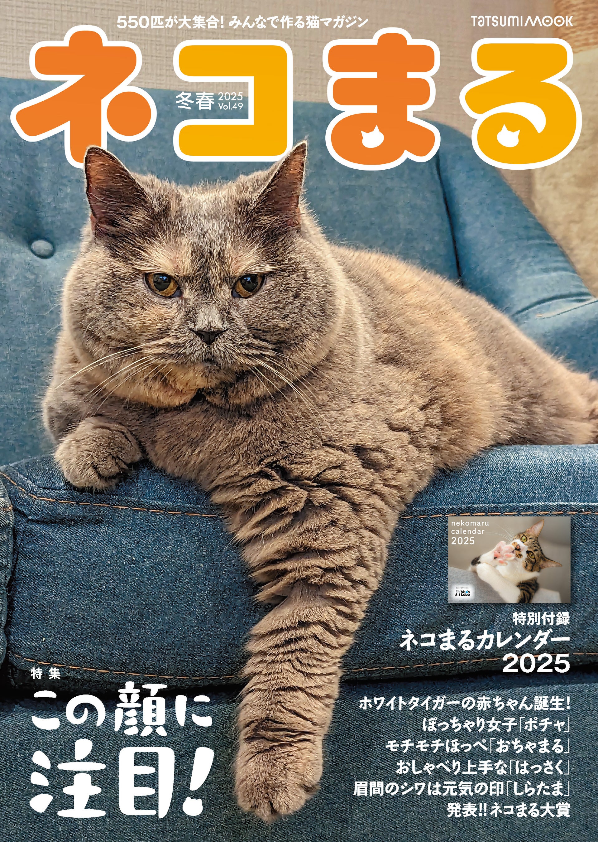ホワイトタイガーの赤ちゃんも登場！ 『ネコまる』2025冬春号 Vol.49が