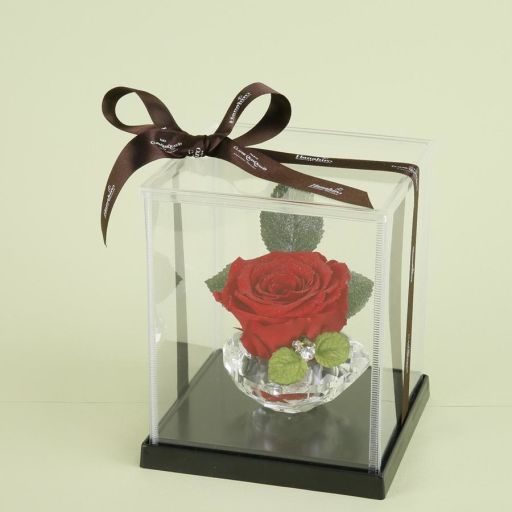 HANAHIRO CQ | プリザーブドフラワー ダイヤモンドローズ | TANOMO GIFT