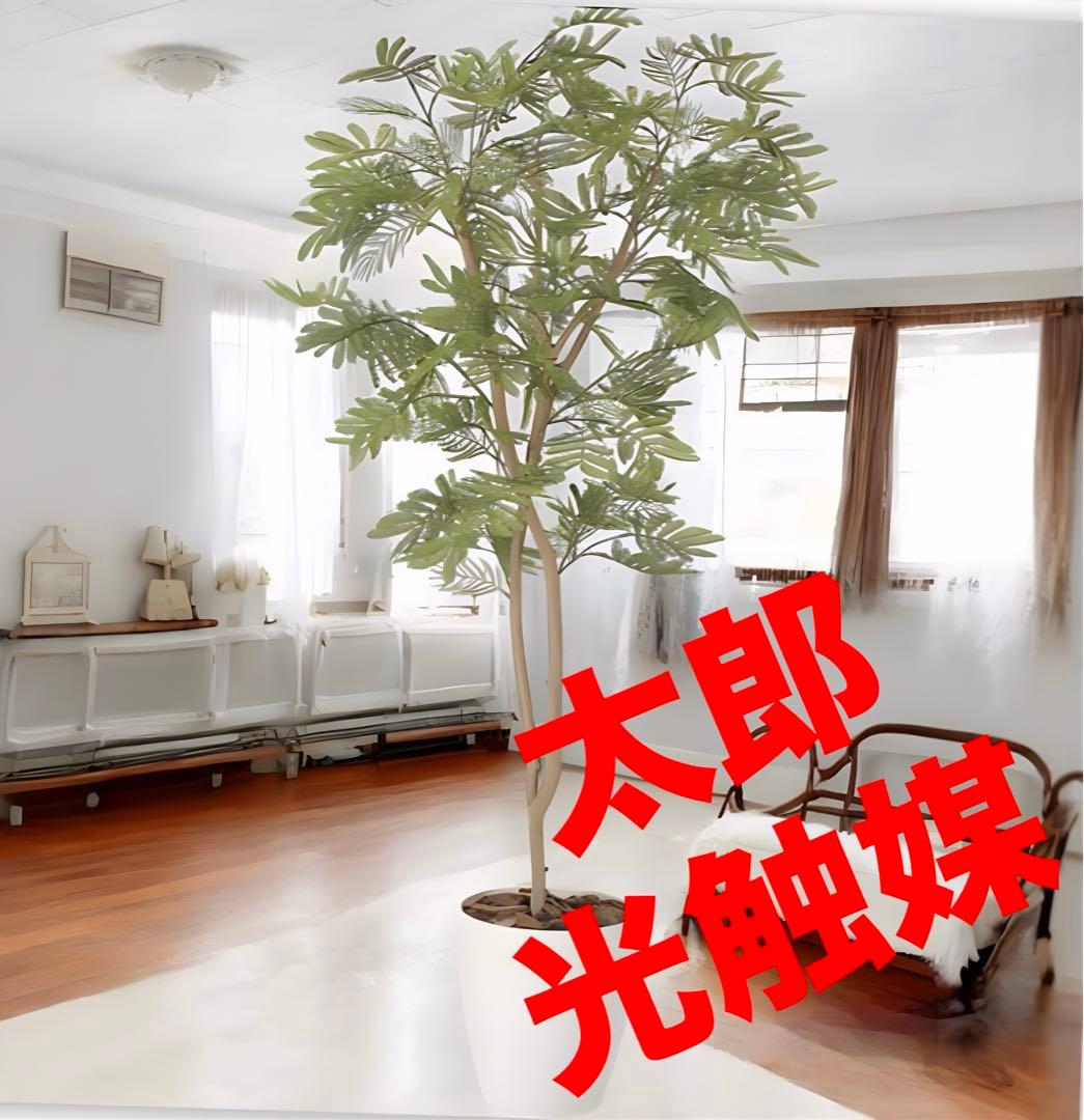 光触媒　人工観葉植物　ウォールグリーン　フェイクグリーン　ねむの木1.3 光触媒 人工観葉植物 ウォールグリーン フェイクグリーン ねむの木1.3