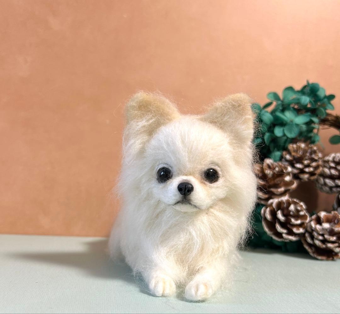 羊毛フェルト　おすましチワワ 羊毛フェルトのチワワちゃんセミオーダー、次の子はえるちゃんです